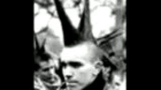 Morčata na útěku demonstračni
