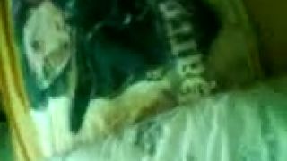 Maliar 3
