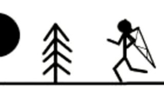 Stick video