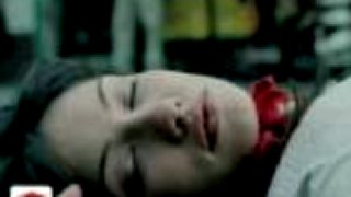 Hoobastank The Reason