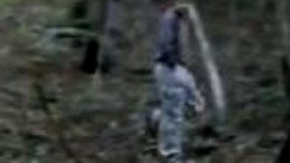 Offroad 2 1diel