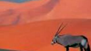 Štáty Zeme : Maroko a Západná Sahara