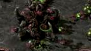 Starcraft 2 Song - A Vikings Lament