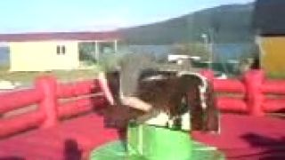 Killerbull