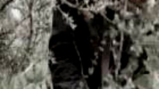 Band of Brothers - Nightwish Amarant