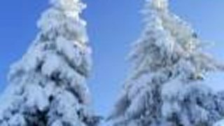 Štáty Zeme : Slovensko
