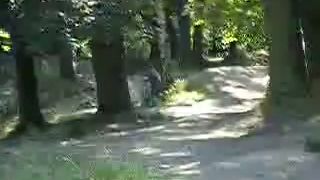 CROSS KRNOV CZ