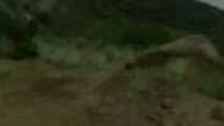 Motocross