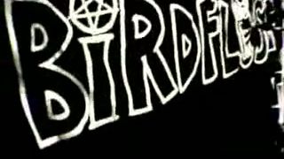Birdflesh - Nightmare on Bahamas