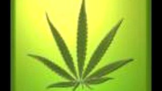 Marihuana