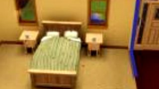 The sims3