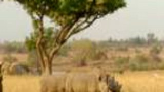 Štáty Zeme : Zimbabwe