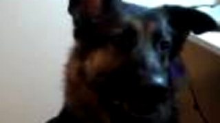 Morgan s Skype