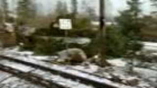 Premeny Tatier (2006) 1/2