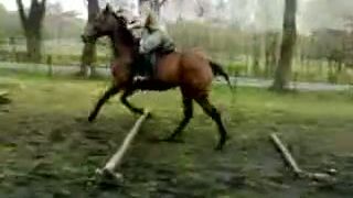 Moja kobylka