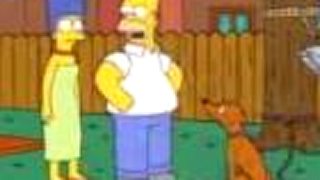 Simpsonovci 14x19