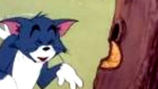 Tom a Jerry - Škaredé kačiatko