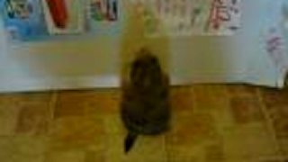 Big Jump