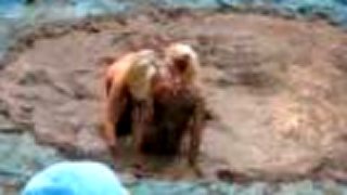 Babský wrestling v blate