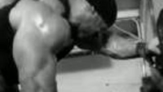 Muscletech Anabolic Halo Pro Series