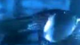 Korn - System (Queen of the damned)