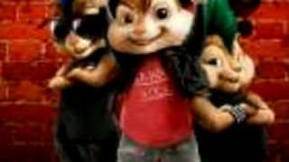 Chipmunk - Discavery channel