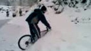 Štubniansky Jackass