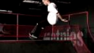 Plan B Sheckler Fundamentals