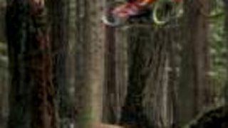 Radical Reels : Follow Me