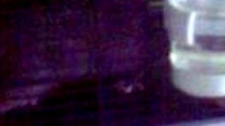 Nathaniell s chipsami