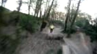 BMX boys