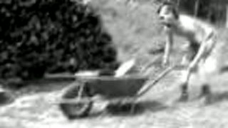 Drevorubač TREVOR
(TREVOR ide na drevo)