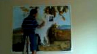 Martin DRAW8