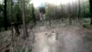 Freeride