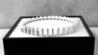 Domino