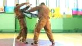 Systema Kadocnikova. Seminar