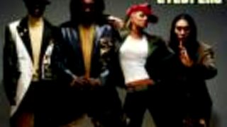 The Black Eyed Peas - Dont Stop The Party