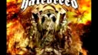 HATEBREED - IN ASHES THEY SHALL REAP