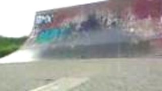Tailwhip