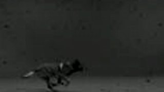 Woodkid - Iron