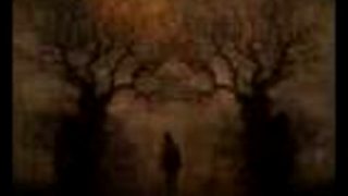 REMEMBRANCE - Ageless Fever