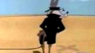 Road Runner & Wile E Coyote - sugar and spies