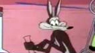 Road Runner & Wile E Coyote - Clippety Clobbered