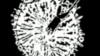 Destructive Explosion of Anal Garland - Hole in my Pole