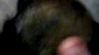 Môj malý Bady