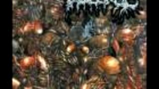 Disgorge - Grotesque devourment