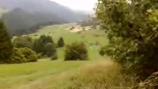Sorento v akcii