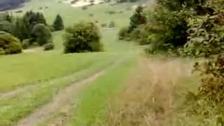 Kawasaki KX250