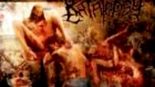 Katalepsy - Necroviolated To Liquid