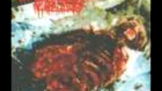 Disgorged Foetus - Degustation of a Cranial Suppuration